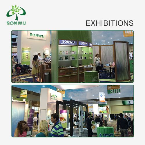 L-theanine Powder exhibition