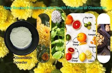 Forskere undersøker Diosmetins potensielle rolle i å bekjempe oksidativt stress