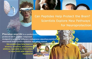 Kan peptider bidra til å beskytte hjernen? Forskere utforsker nye veier for n...